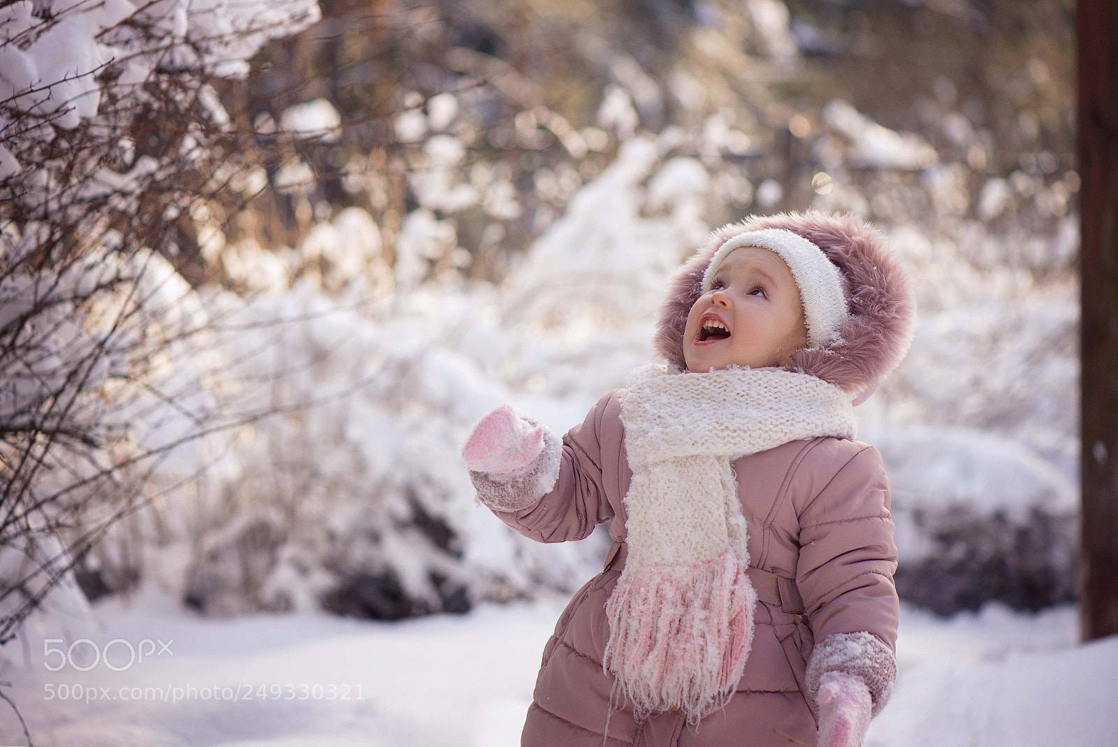 Nikon D610 sample photo. Untitled photography