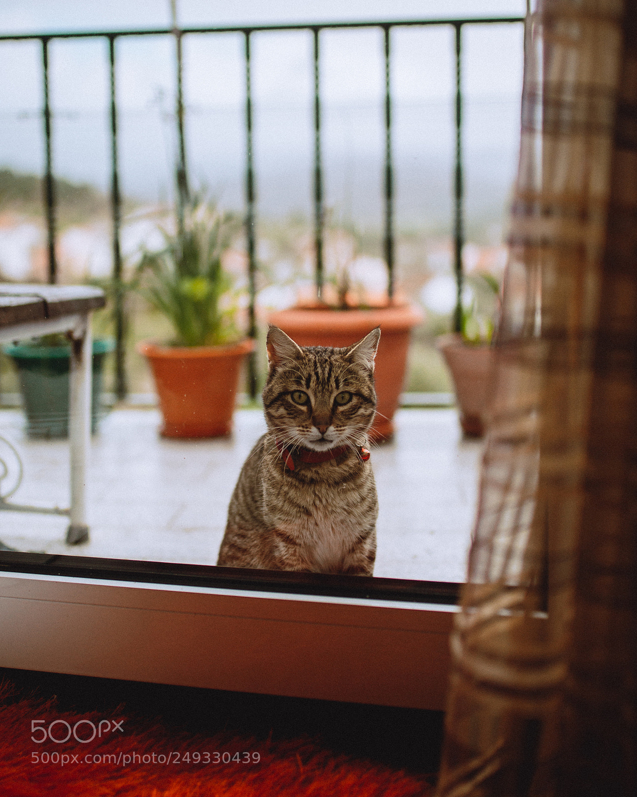 Nikon D610 sample photo. Untitled photography