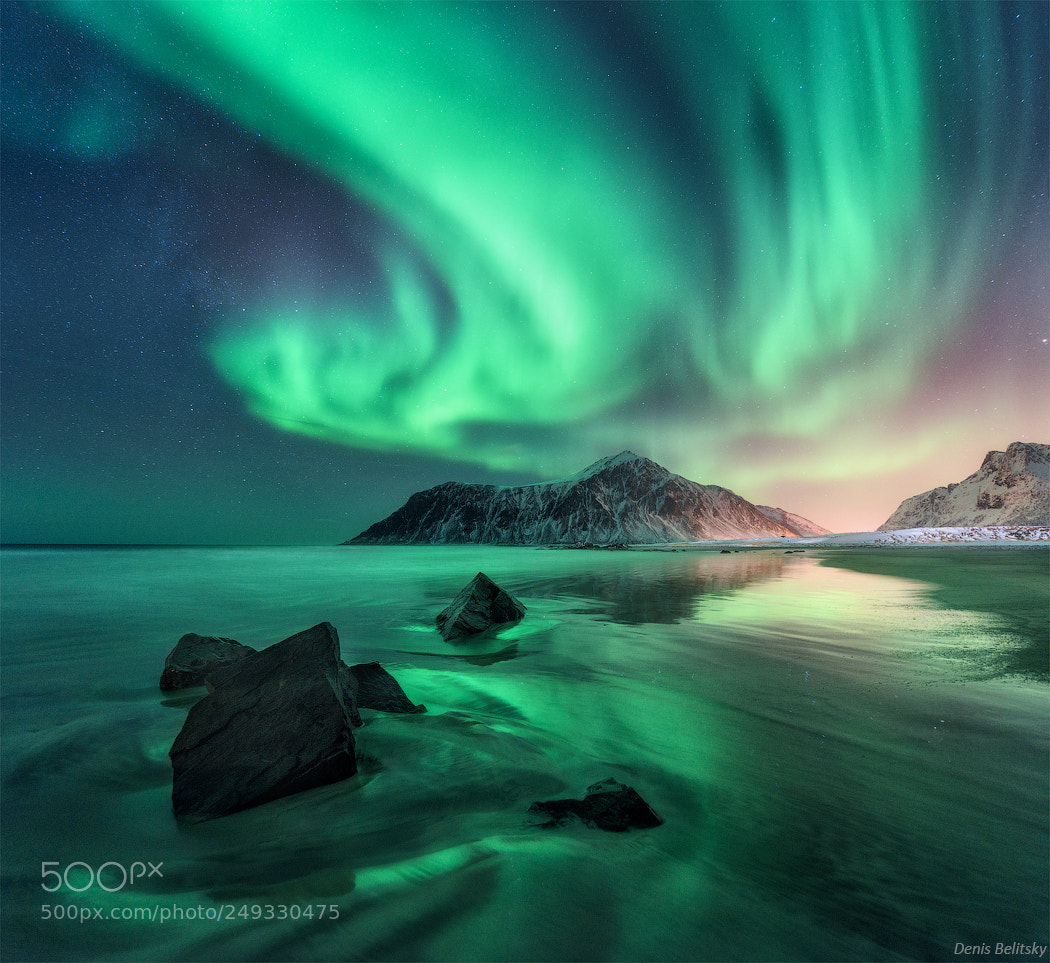 Nikon D810 sample photo. Aurora in lofoten, norway photography