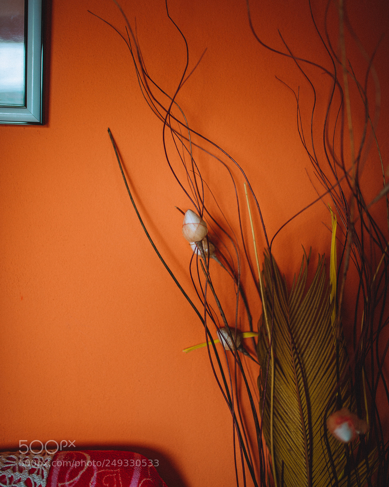 Nikon D610 sample photo. Untitled photography