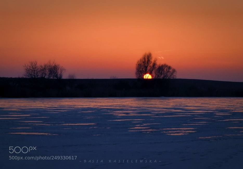 Nikon D5100 sample photo. Sunset photography
