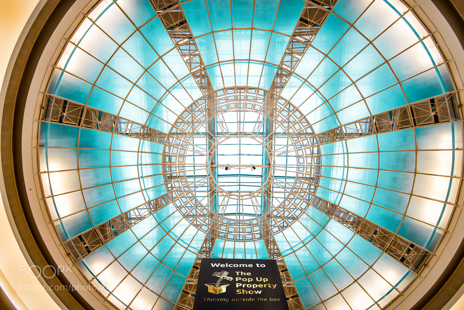 Sony a7R III sample photo. Looking up photography
