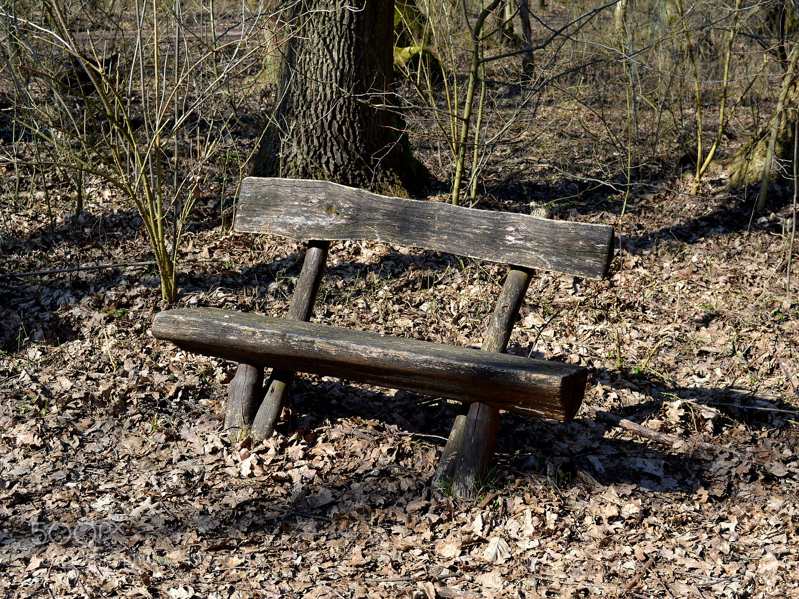 Nikon D5200 sample photo. Untitled photography