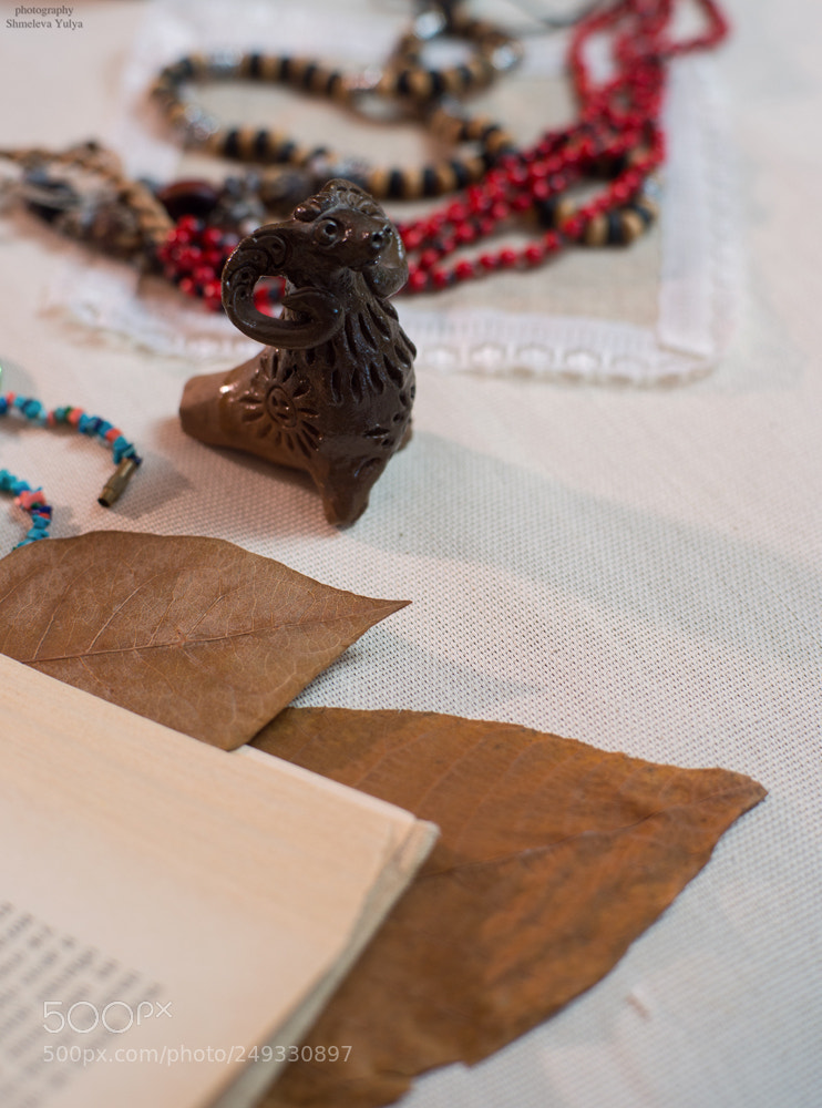 Sony a99 II sample photo. Untitled photography
