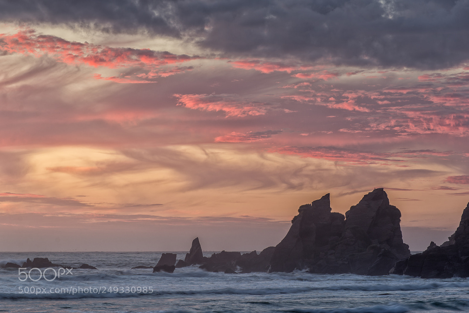 Nikon D610 sample photo. Detalle roqueri o norte photography