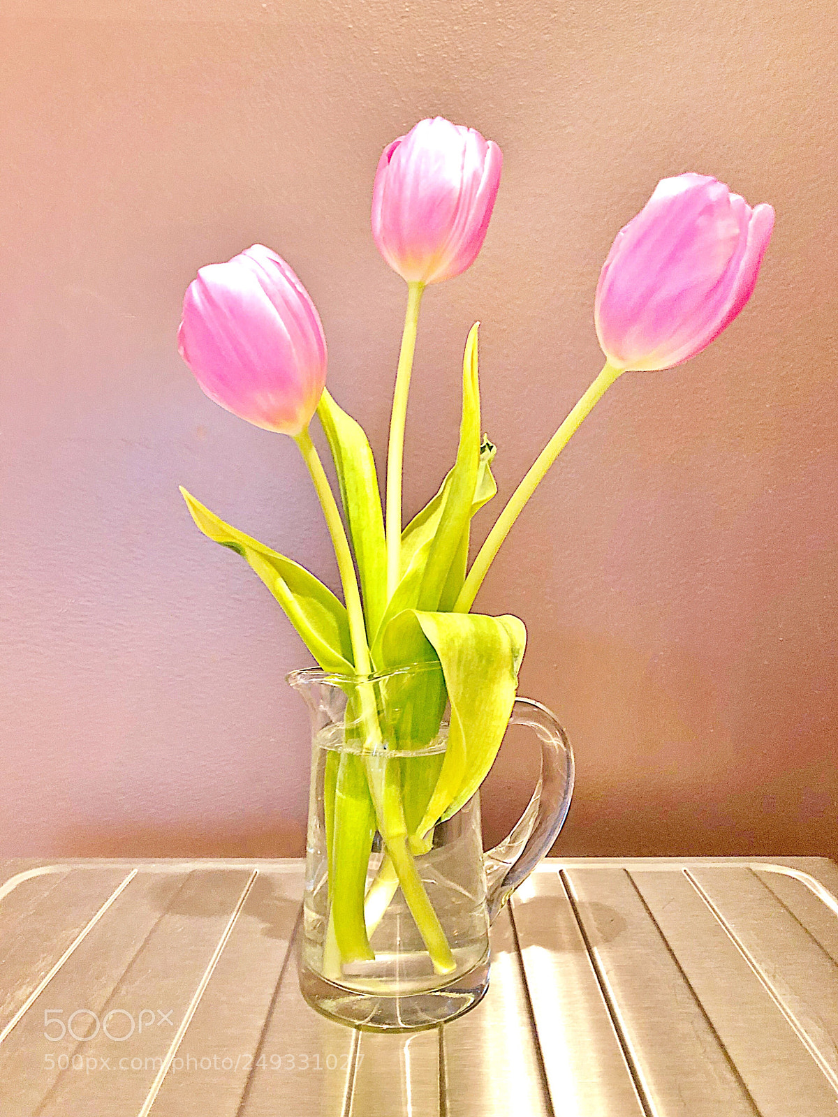 Apple iPhone X sample photo. Tulips photography