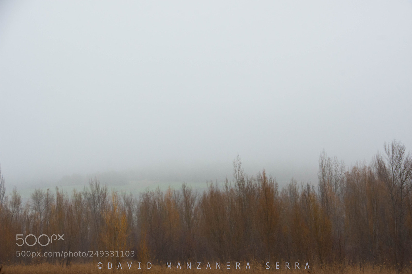 Nikon D7200 sample photo. Pictoric fog. photography