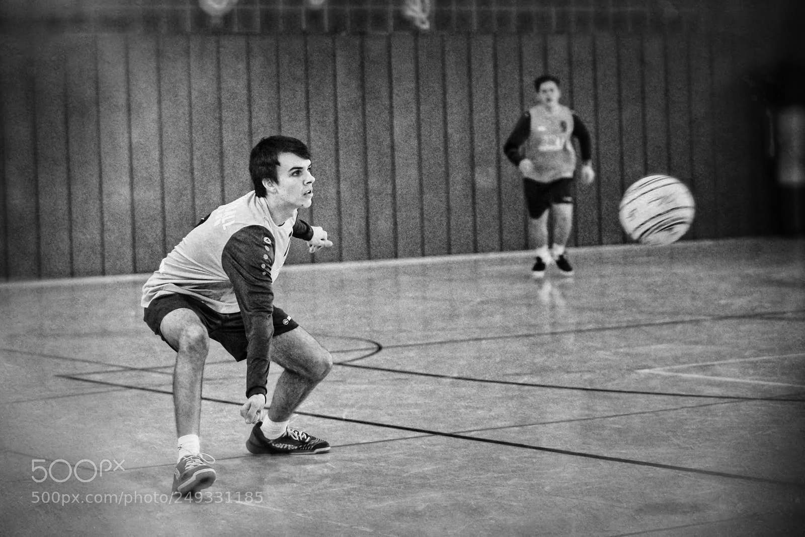 Sony SLT-A99V sample photo. Ball hunting photography