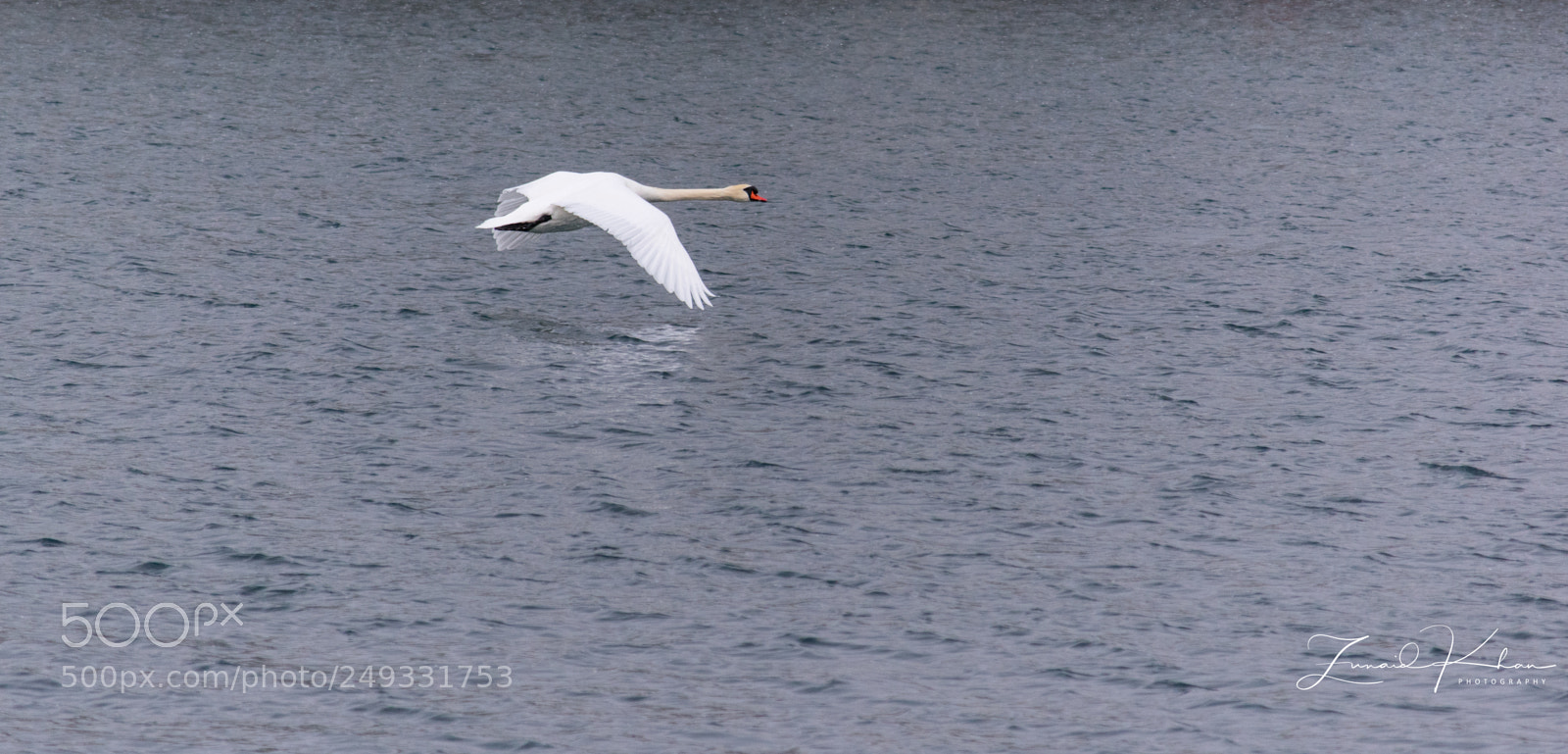 Nikon D3400 sample photo. Majestic photography