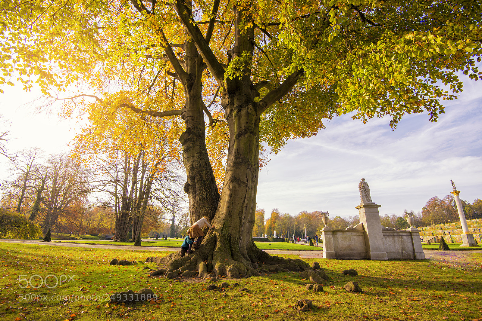 Nikon D600 sample photo. Sanssouci palace in potsdam photography