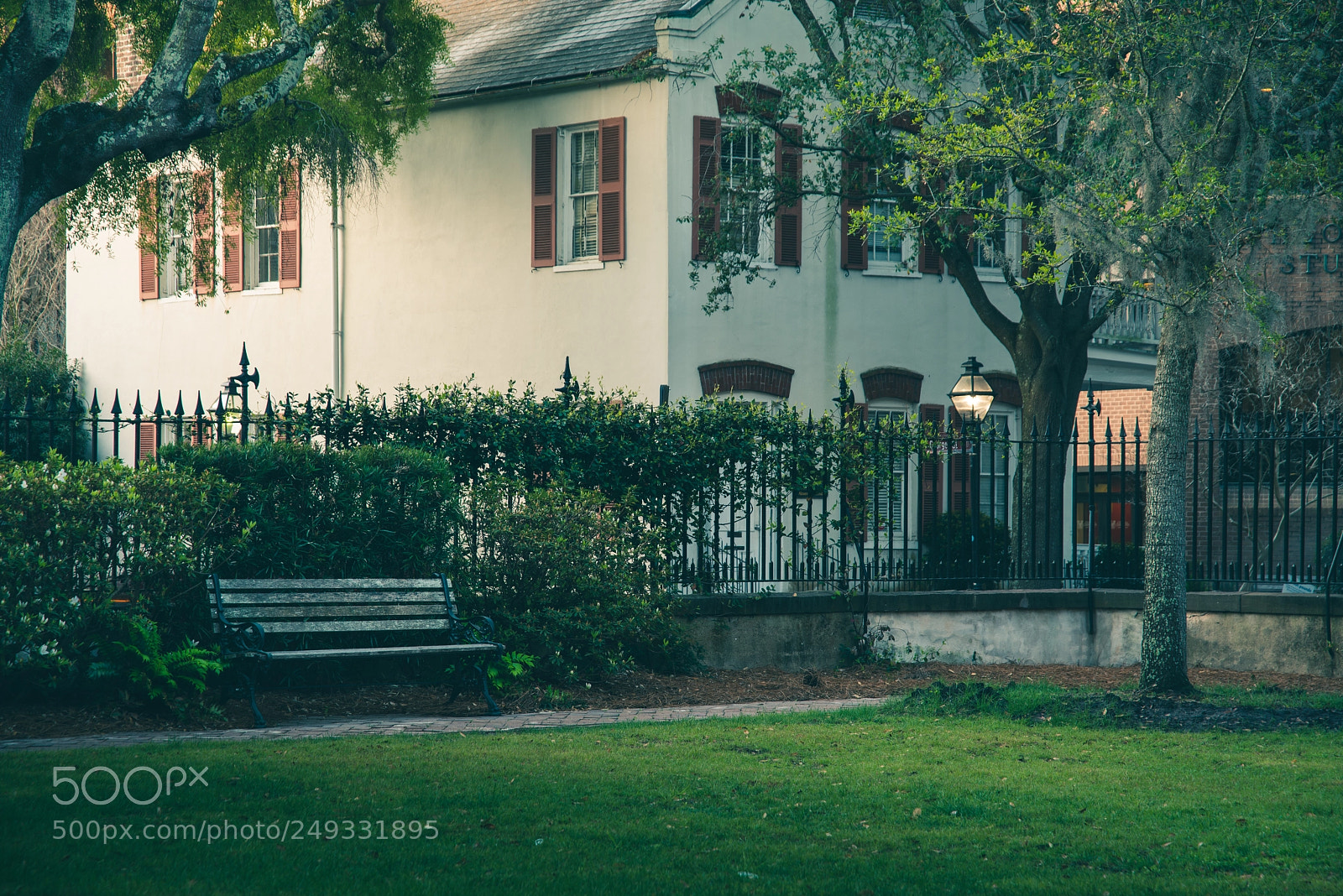 Pentax K-1 sample photo. College of charleston photography
