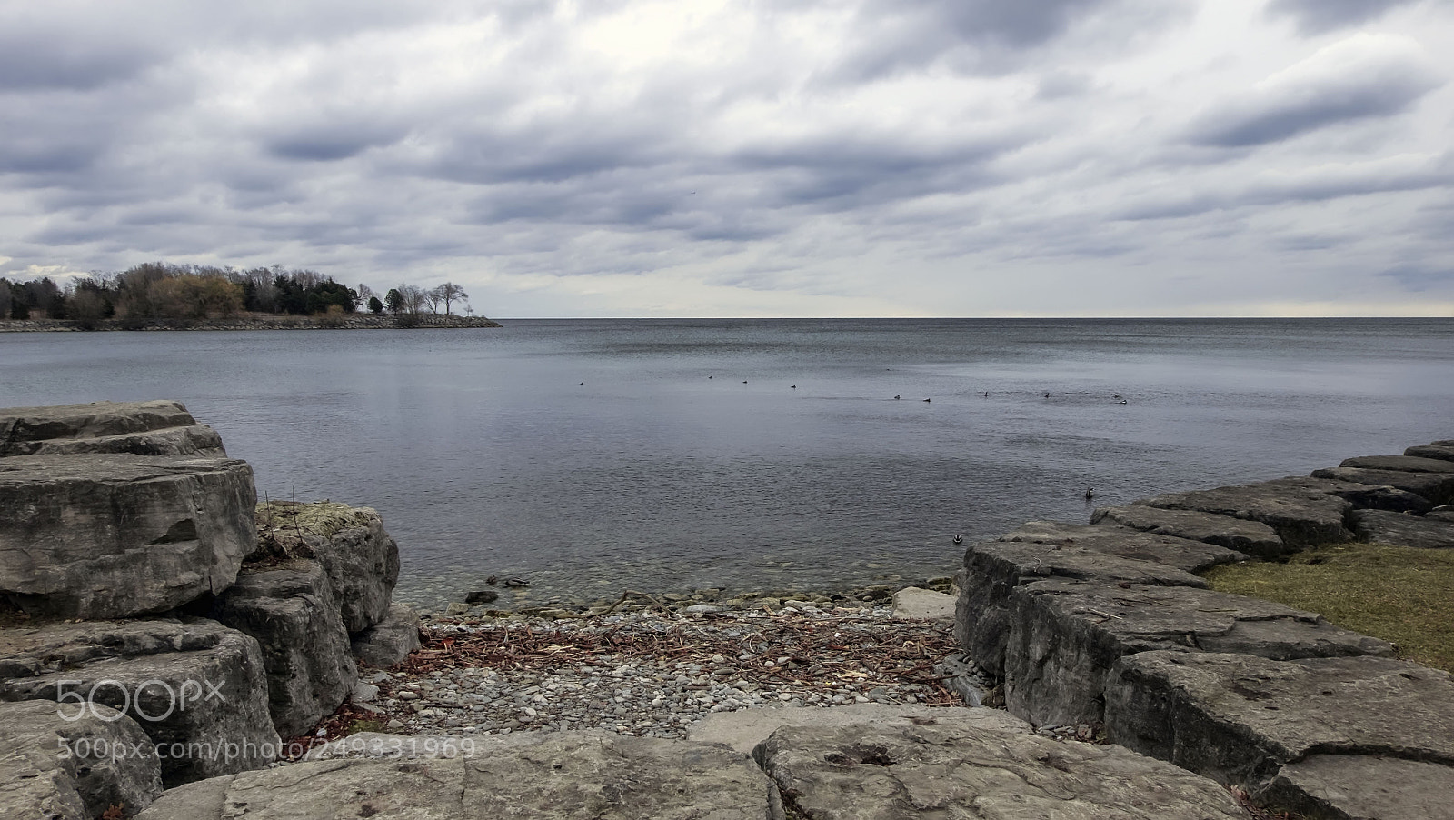 Fujifilm X-E2 sample photo. Adamson estate photography