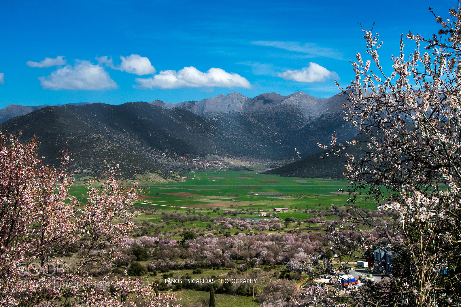 Nikon D7200 sample photo. Almonds on the mountais photography