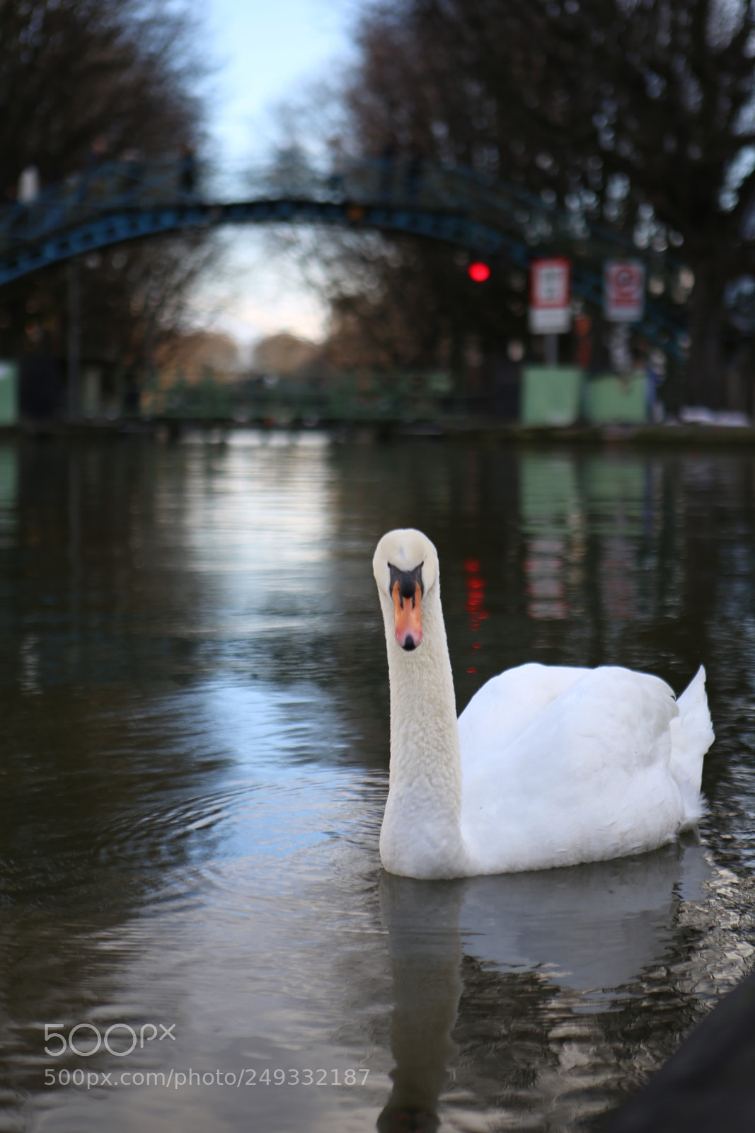 Canon EOS 6D + Canon EF 24-70mm F2.8L USM sample photo. Untitled photography