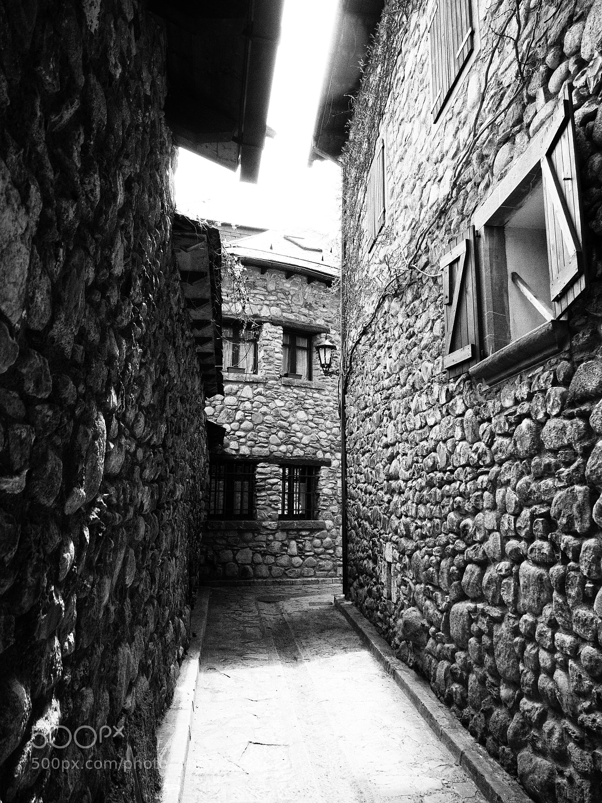 Panasonic Lumix DMC-GX8 sample photo. Anciles photography