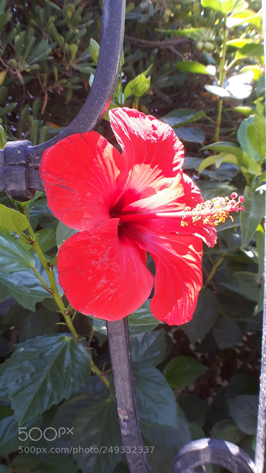 Samsung Galaxy S5 Neo sample photo. 20170902_124536.jpg photography