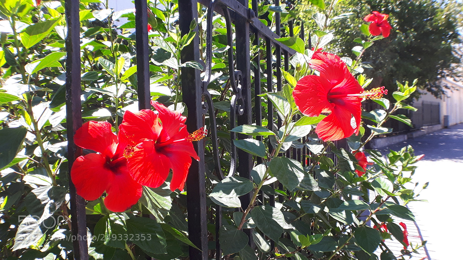 Samsung Galaxy S5 Neo sample photo. 20170902_124612.jpg photography