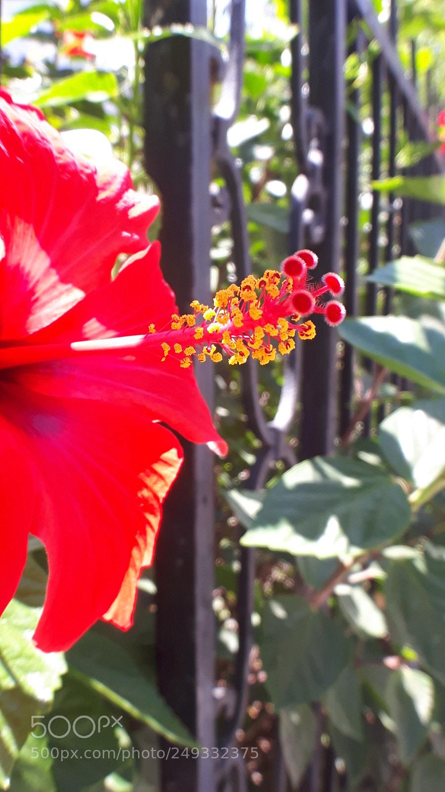 Samsung Galaxy S5 Neo sample photo. 20170902_124651.jpg photography