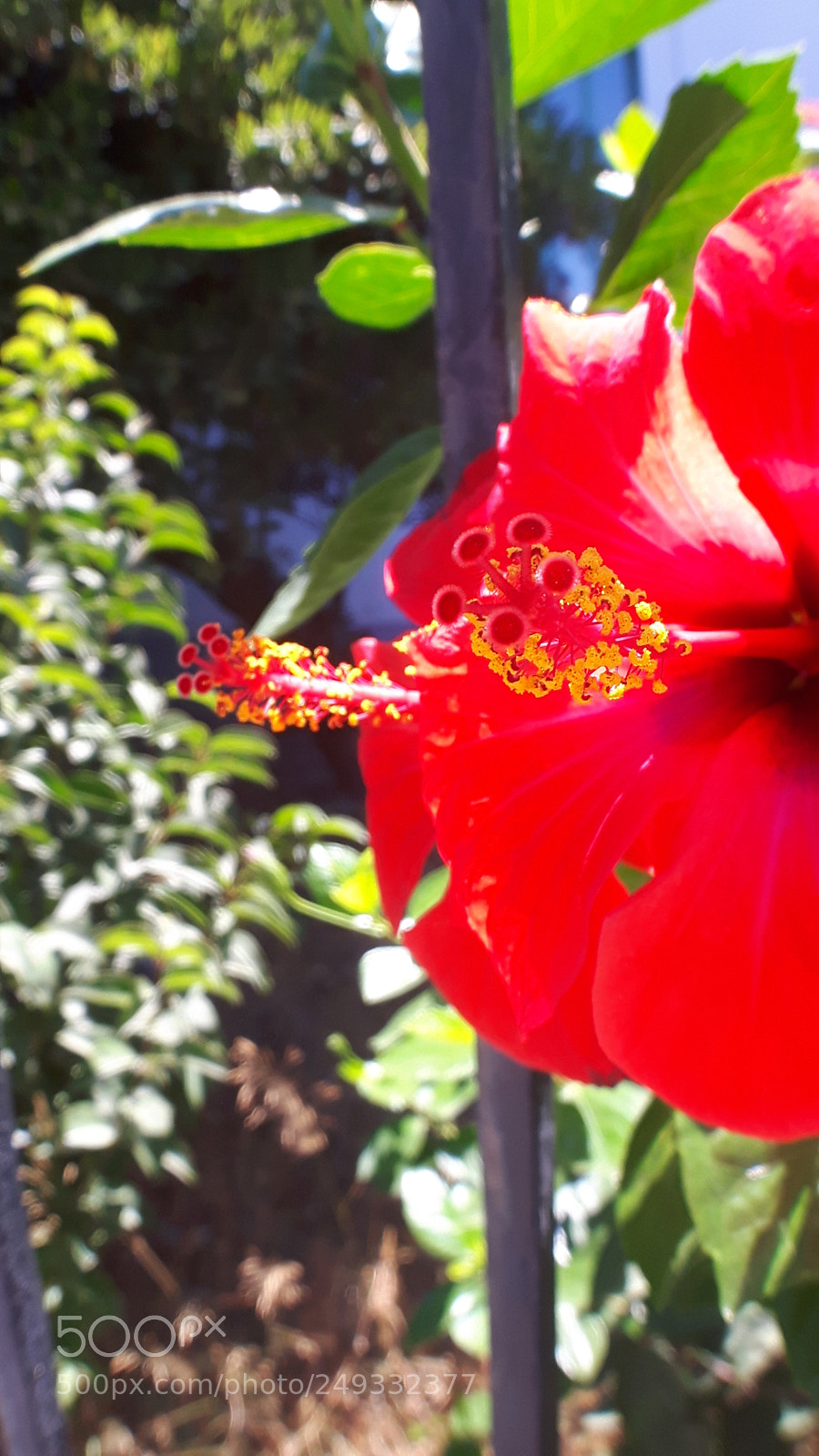 Samsung Galaxy S5 Neo sample photo. 20170902_124719.jpg photography
