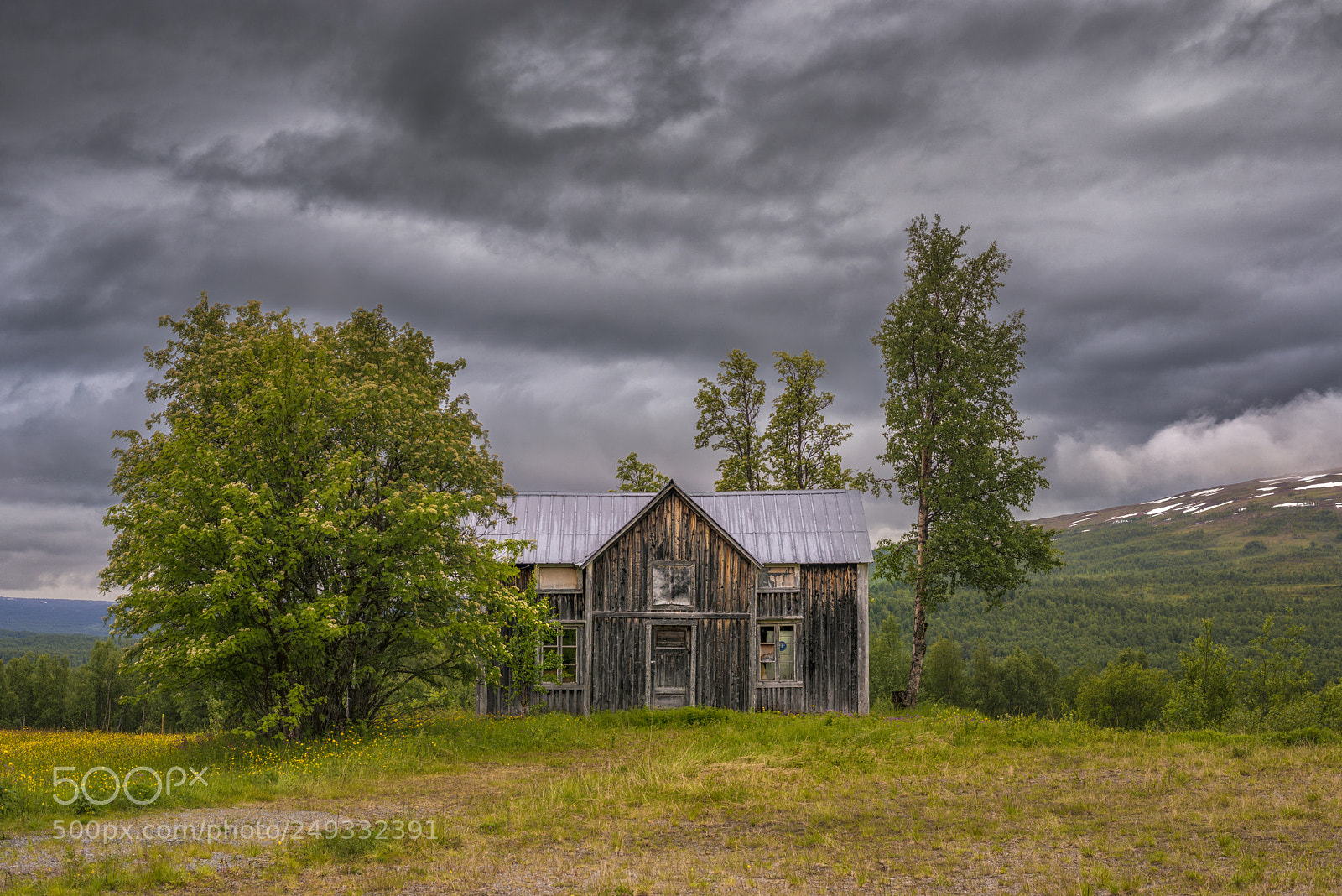Nikon D800 sample photo. Last house standing photography