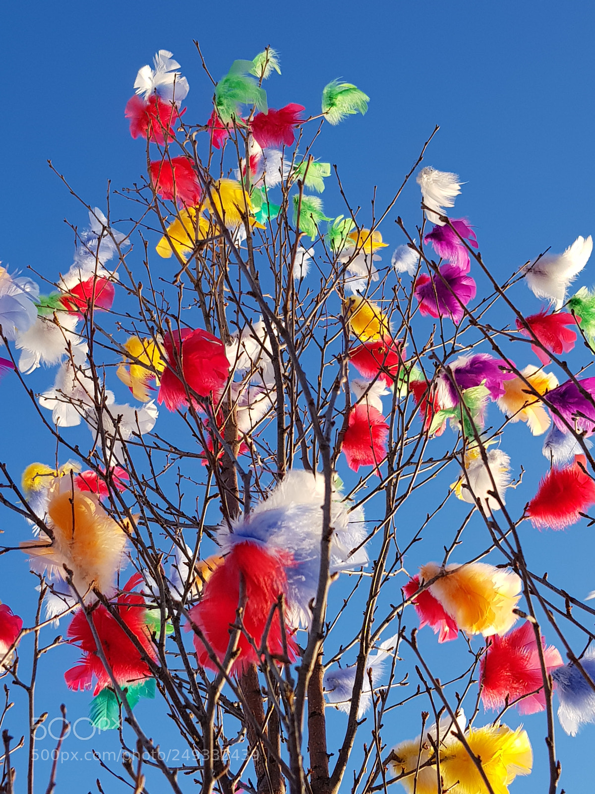Samsung Galaxy S8 sample photo. Easter tree photography