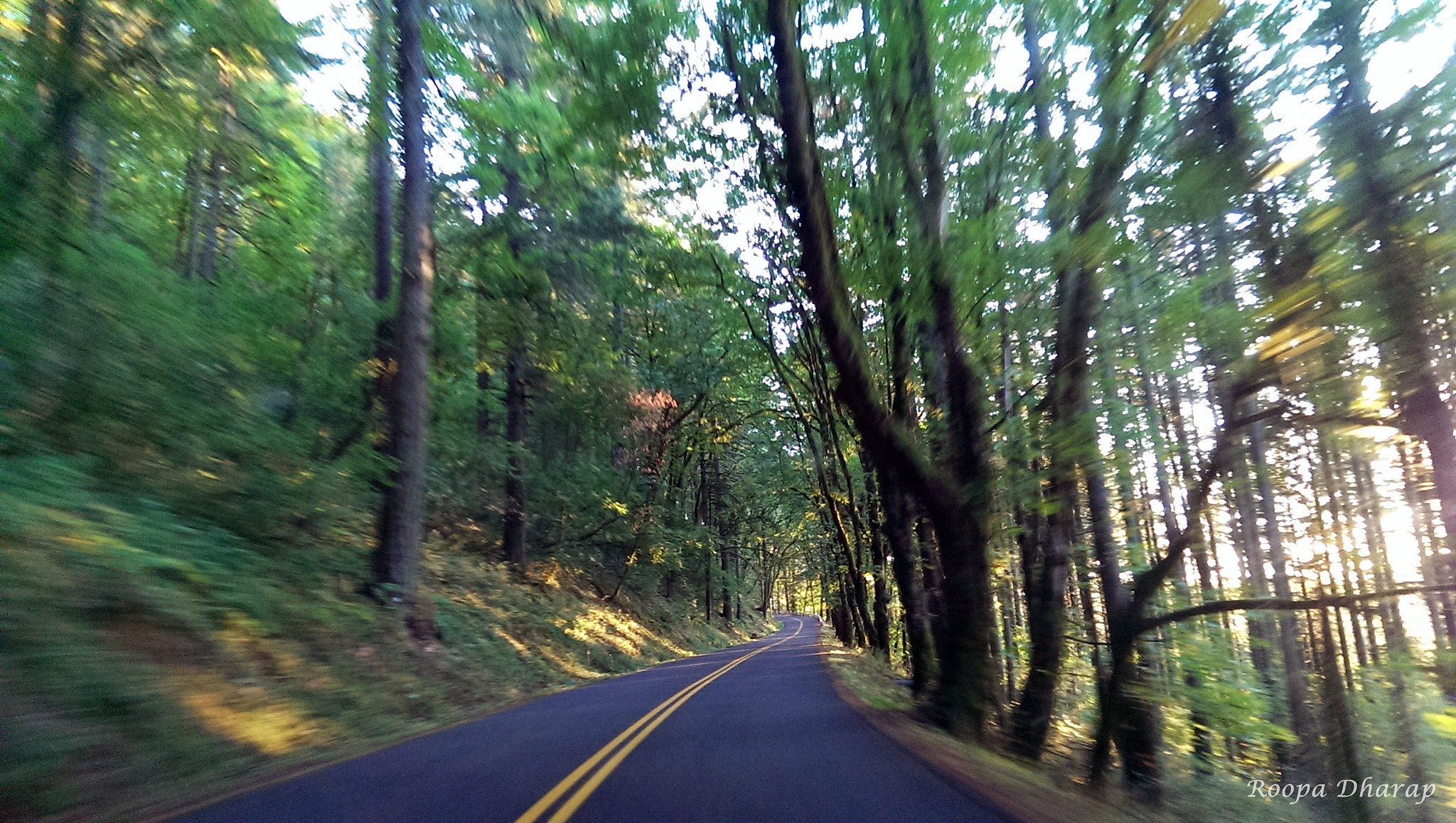 HTC ONE sample photo. Speed photography