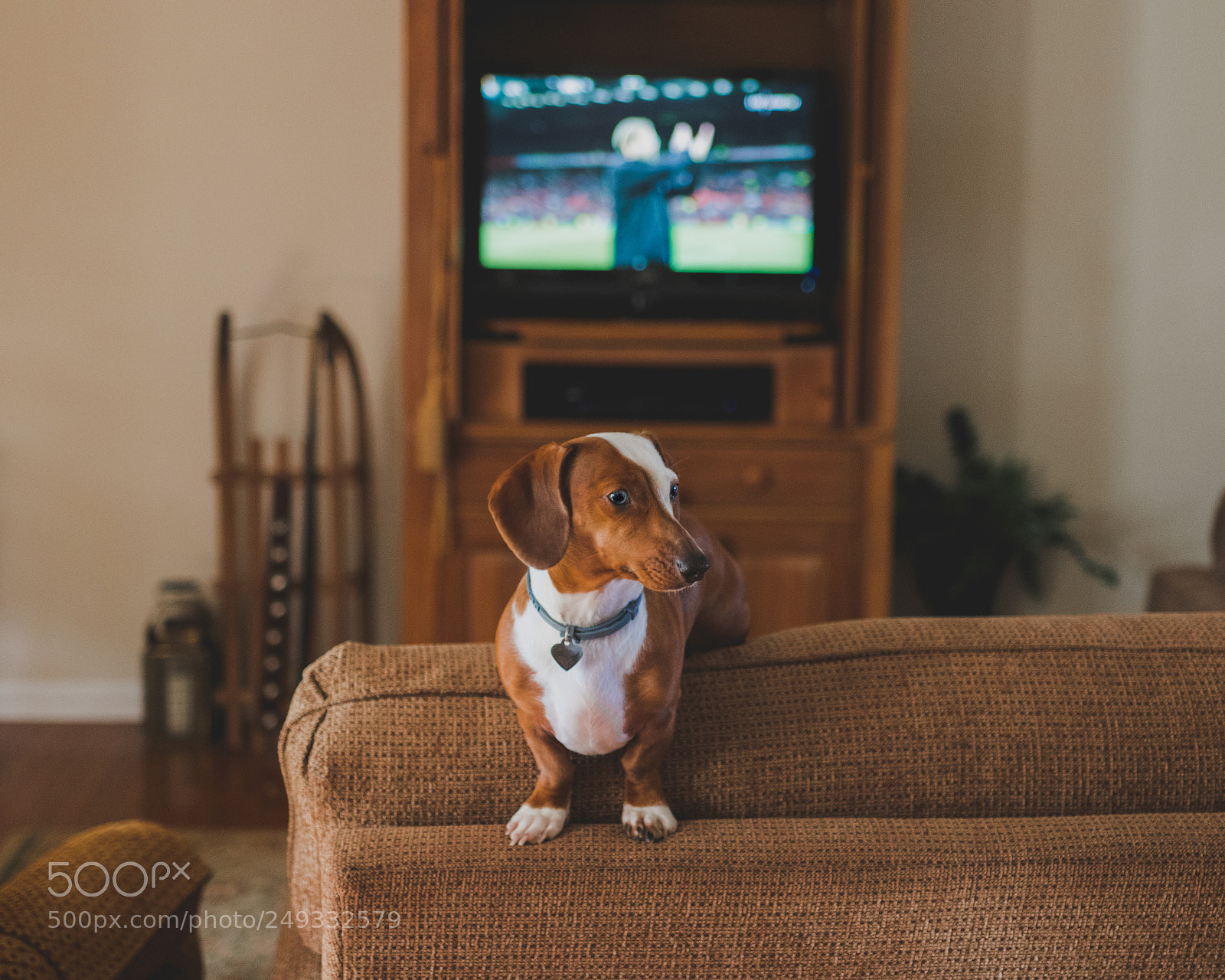 Canon EOS 77D (EOS 9000D / EOS 770D) sample photo. Abby photography