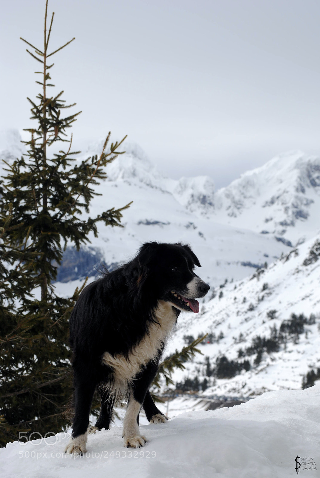 Nikon D3000 sample photo. Enjoying the snow photography