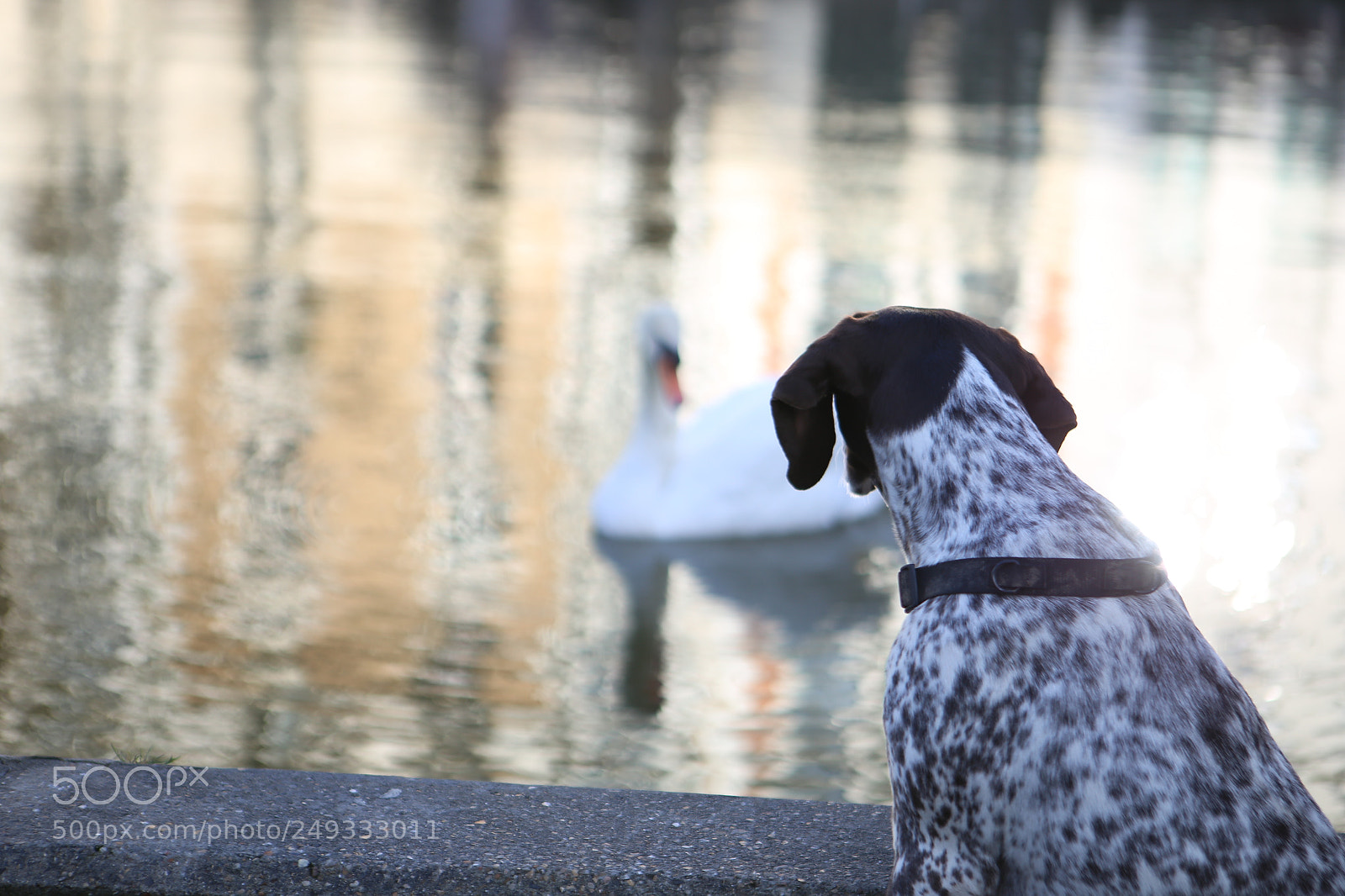 Canon EOS 6D + Canon EF 24-70mm F2.8L USM sample photo. Untitled photography