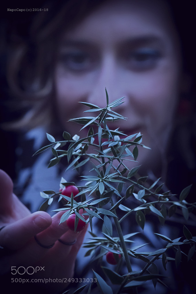 Canon EOS 60D sample photo. The good winter photography