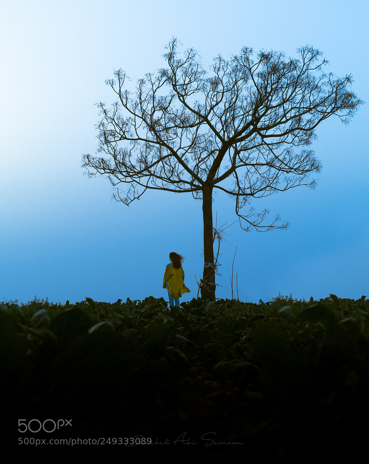 Sony a7S II sample photo. Spirited away photography