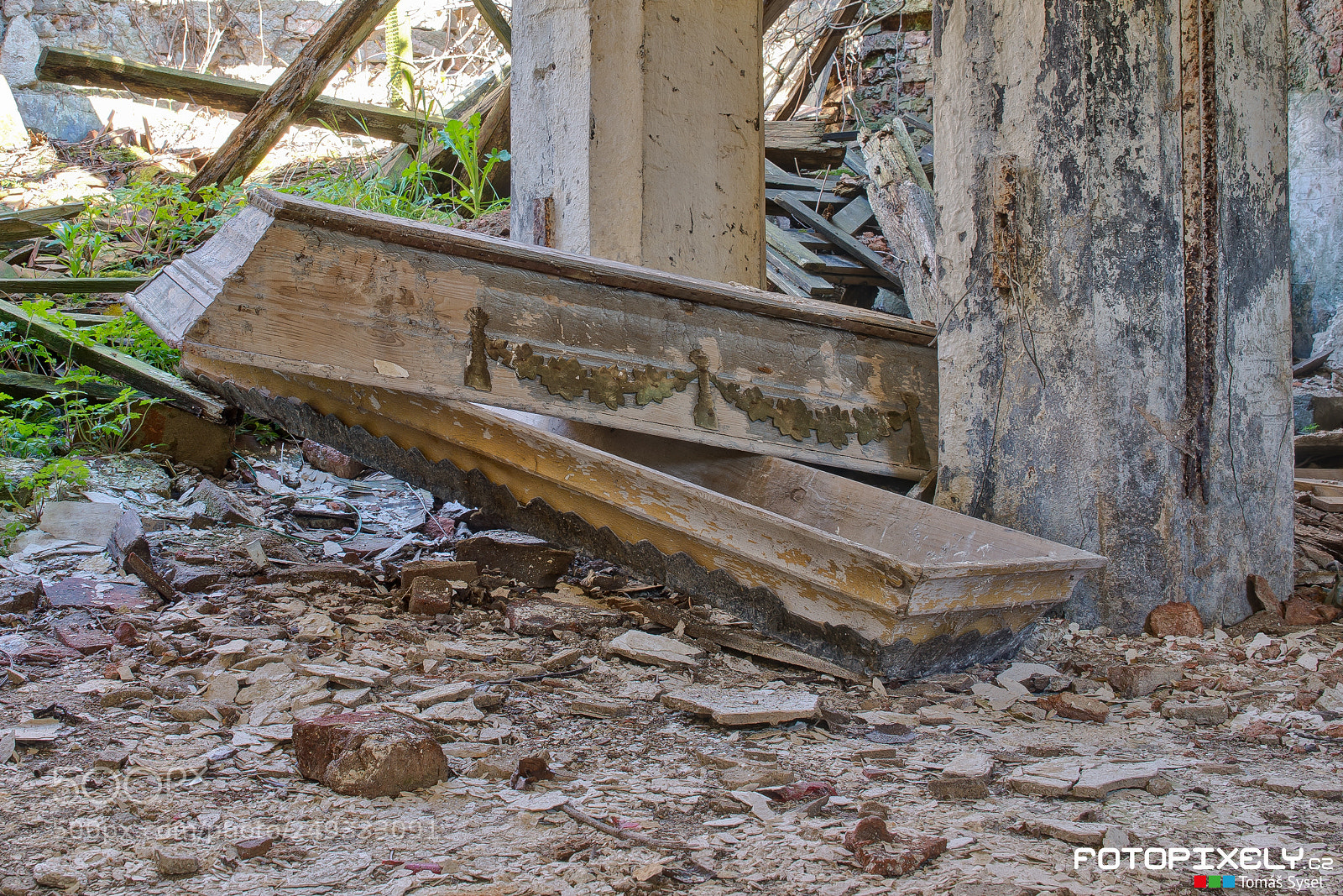 Nikon D600 sample photo. Z me ek s photography