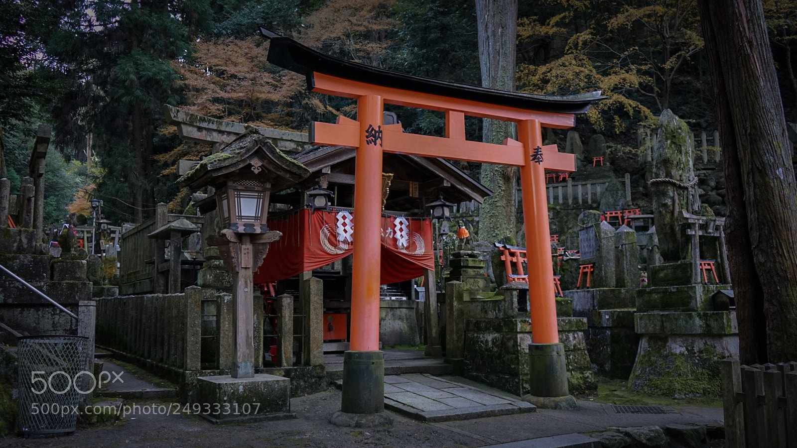 Sony a7 II sample photo. Torii gate photography