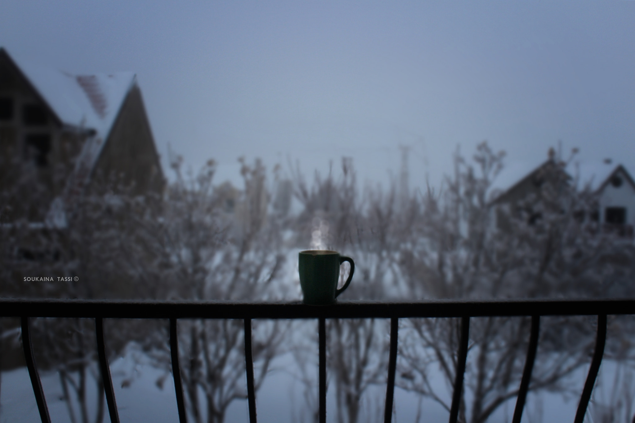 Canon EF-S 18-55mm F3.5-5.6 IS sample photo. Morning coffee photography