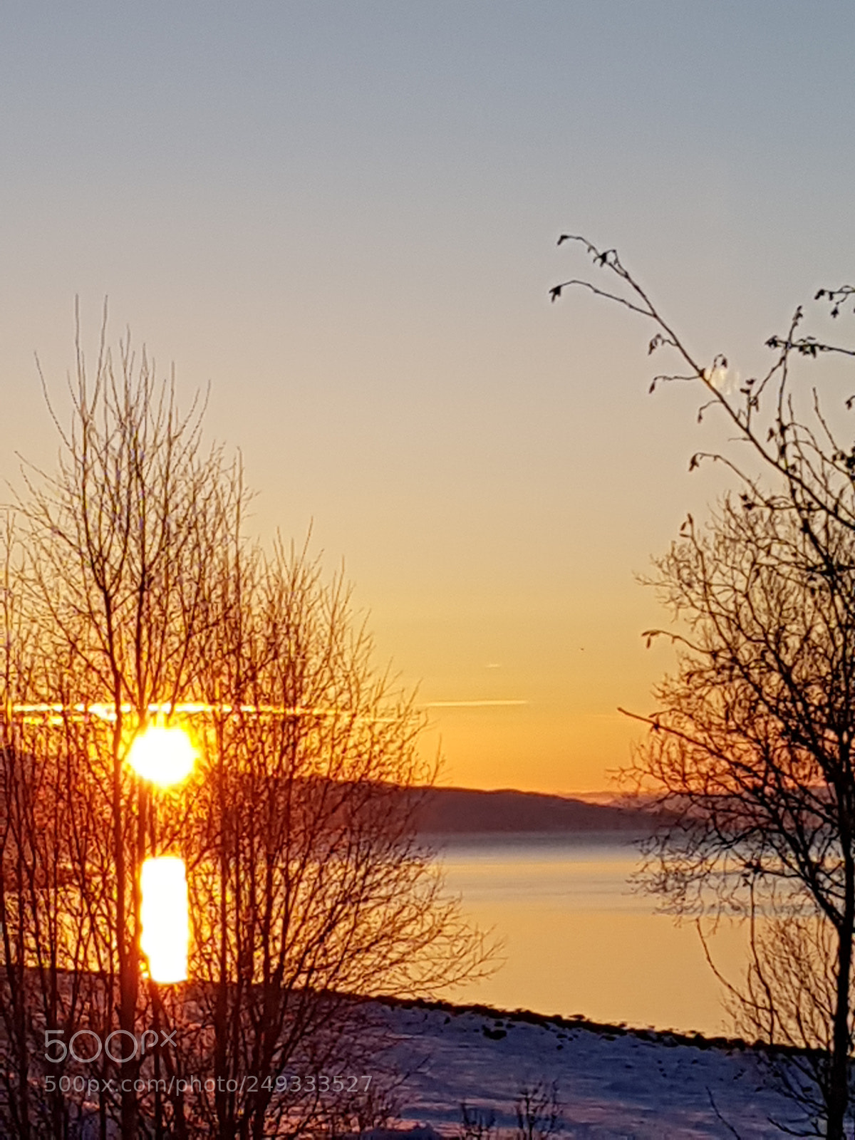Samsung Galaxy S8 sample photo. Evening low sun photography