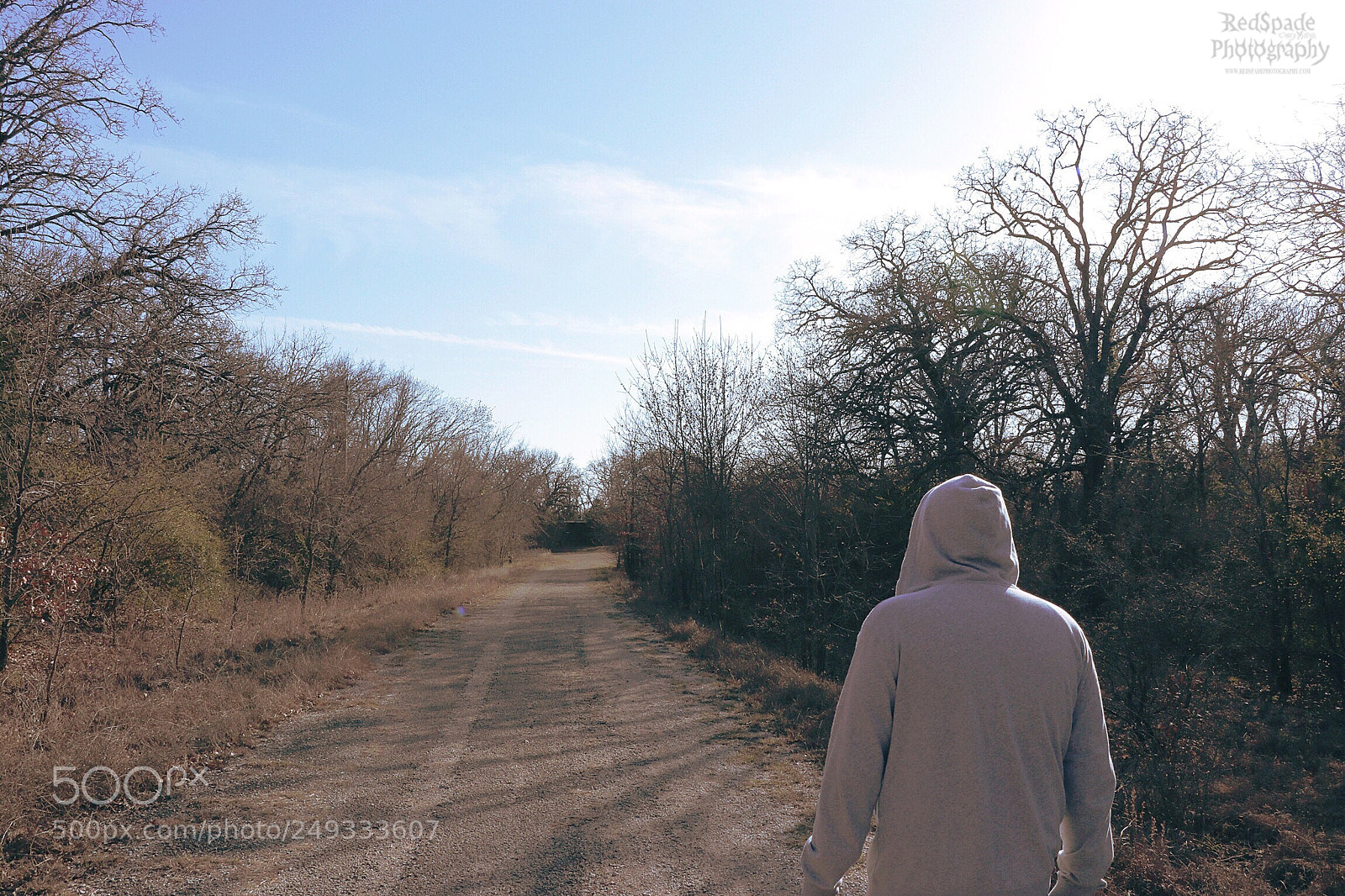 Canon EOS 80D sample photo. On a path to photography