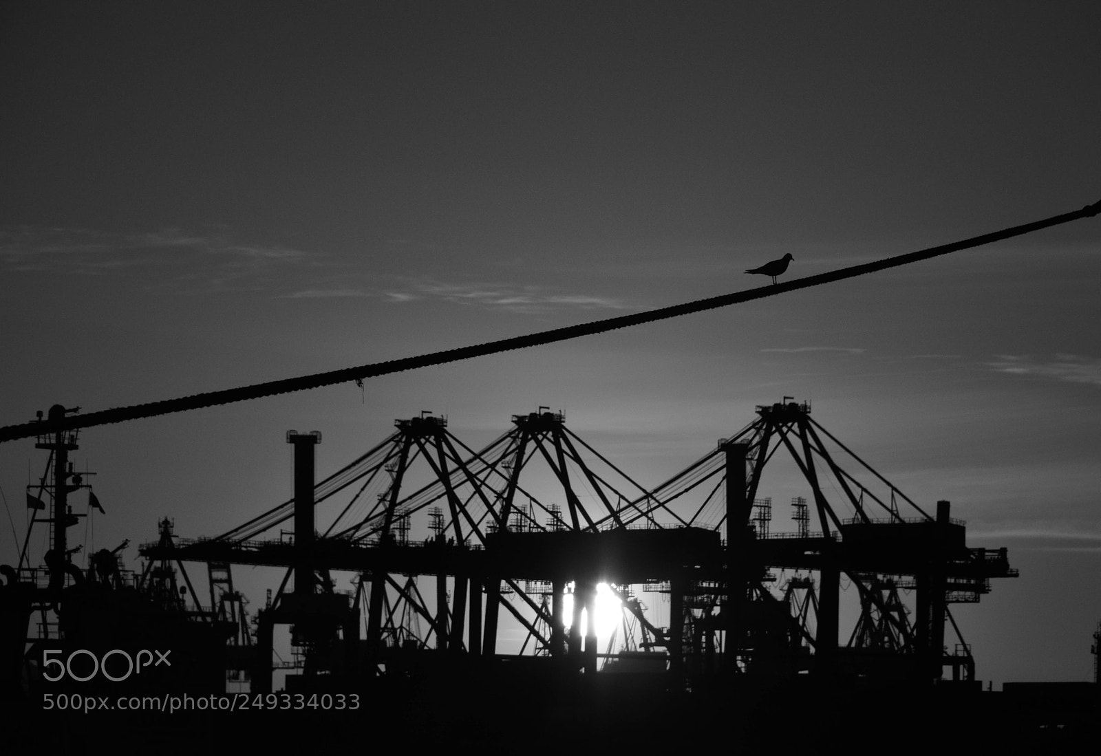 Nikon D3300 sample photo. Untitled photography