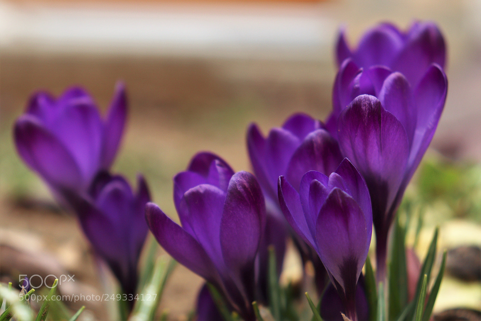 Canon EOS 77D (EOS 9000D / EOS 770D) sample photo. Untitled photography