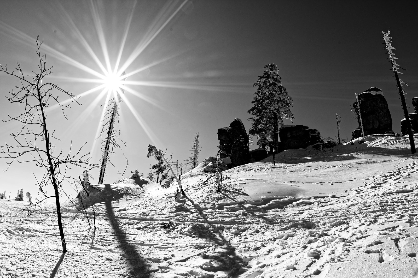 Nikon D7500 + Sigma 15mm F2.8 EX DG Diagonal Fisheye sample photo. Šumava photography