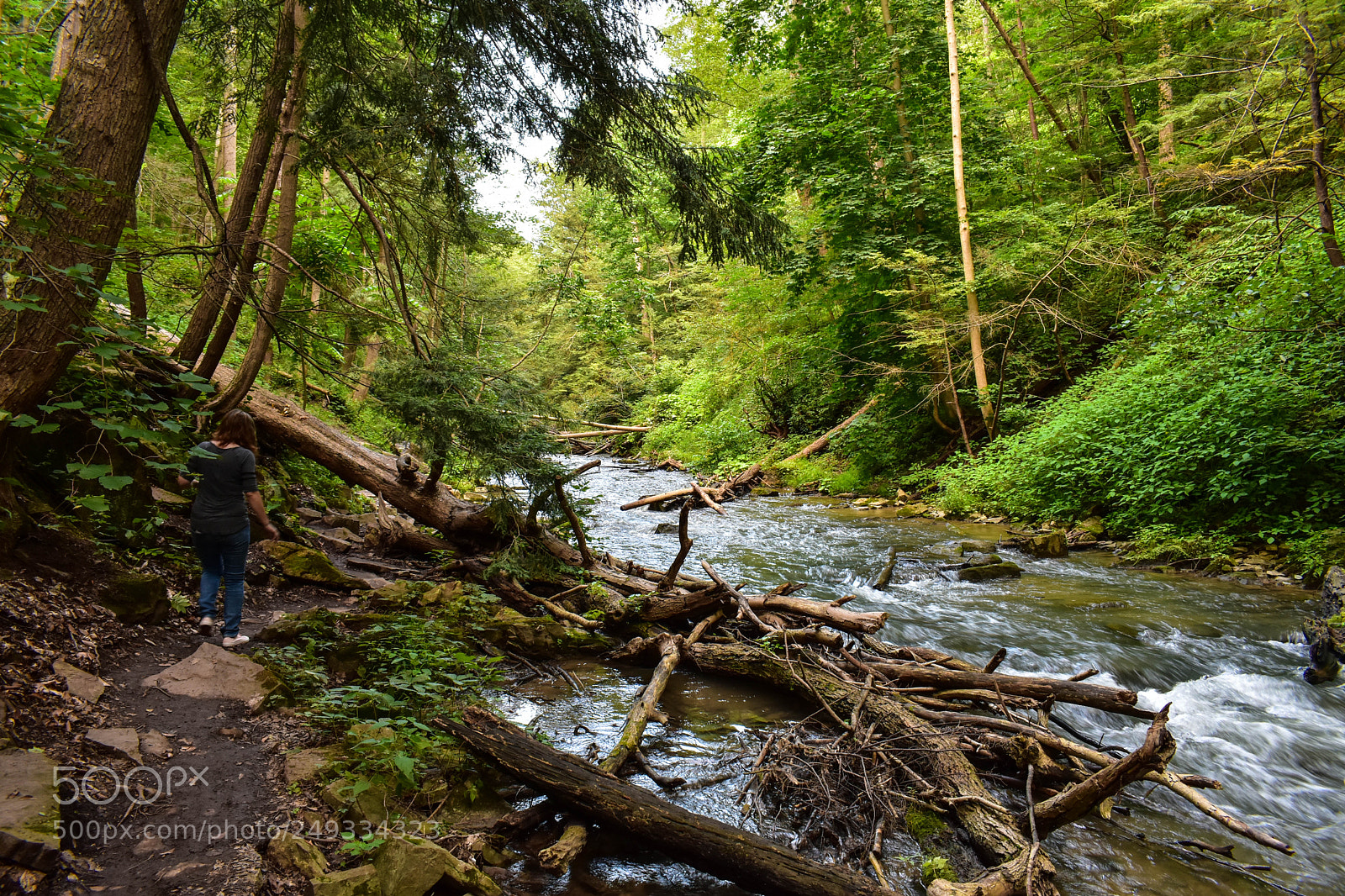 Nikon D3400 sample photo. Decew valley photography