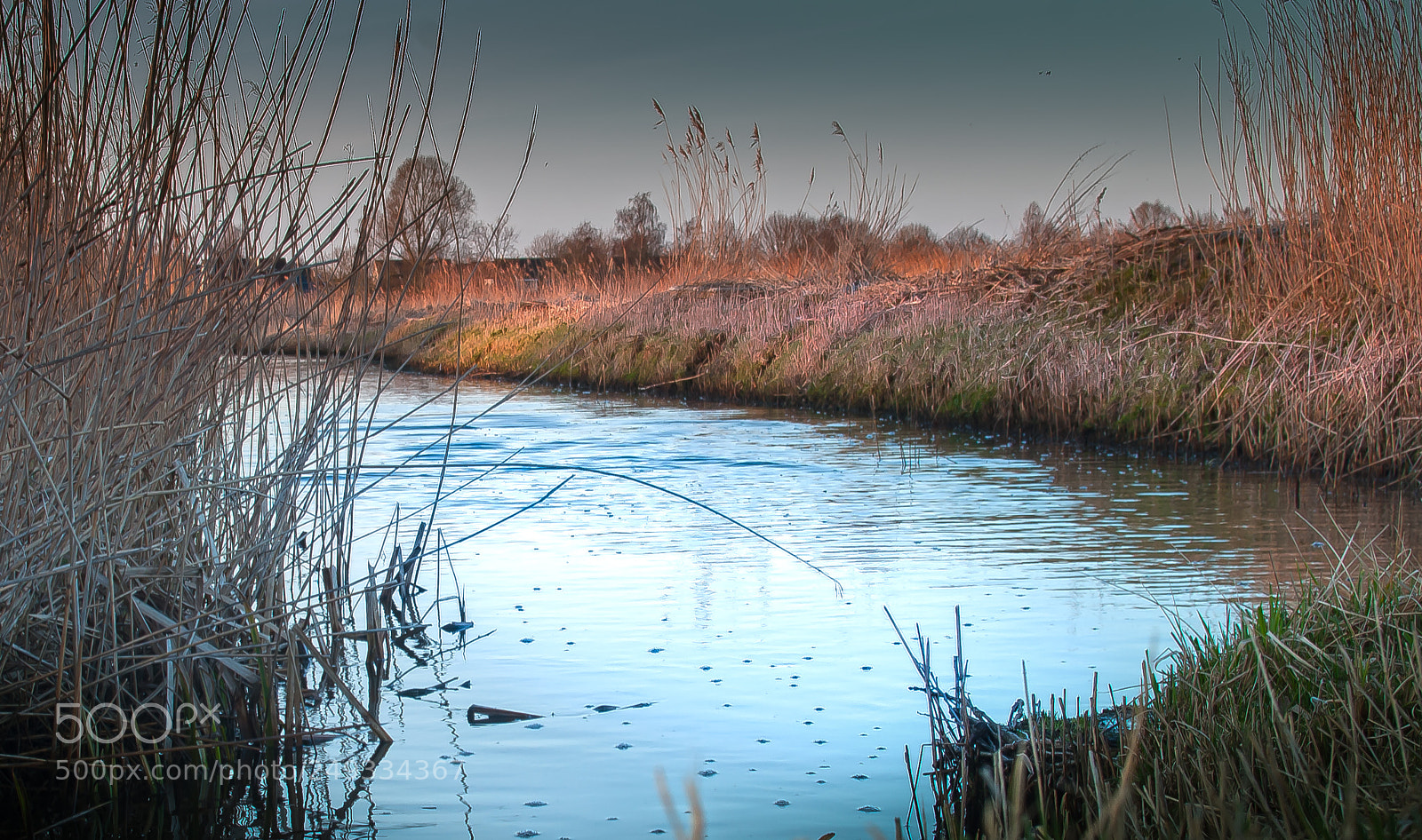 Nikon D5000 sample photo. Blue water photography
