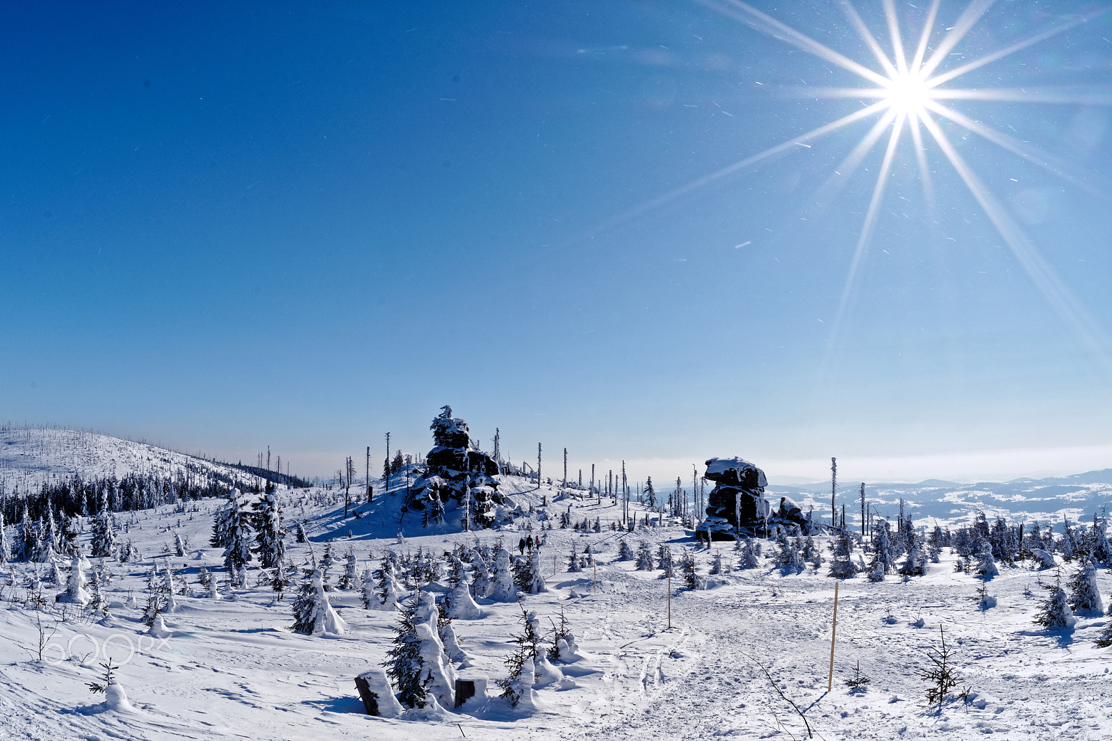 Nikon D7500 + Sigma 15mm F2.8 EX DG Diagonal Fisheye sample photo. Šumava photography