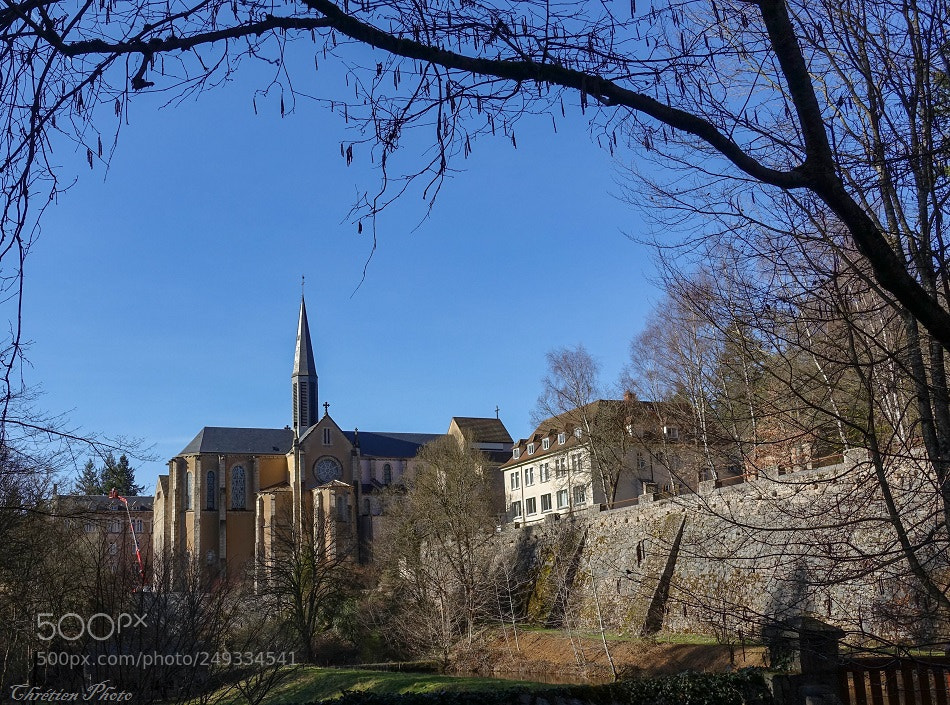 Sony Cyber-shot DSC-RX100 III sample photo. Abbaye photography