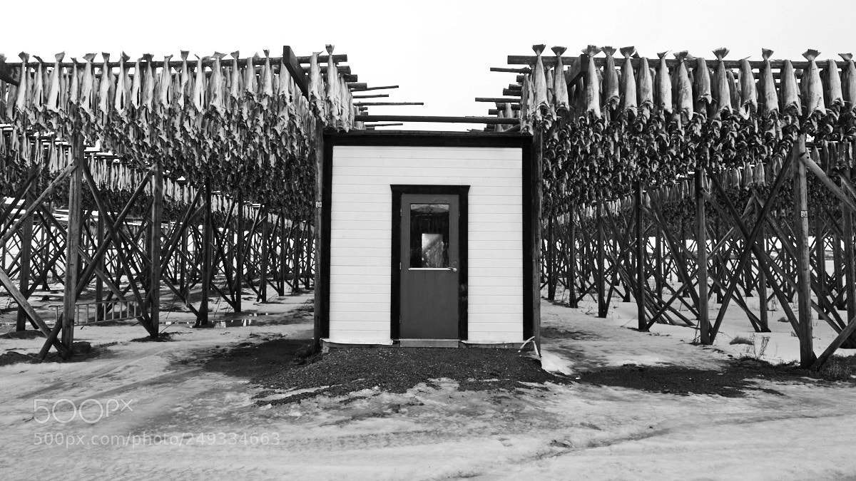 Fujifilm X-T1 sample photo. Stockfish photography