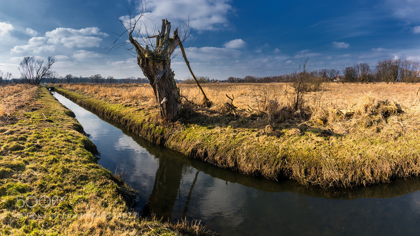 Nikon D7200 sample photo. Ditch photography