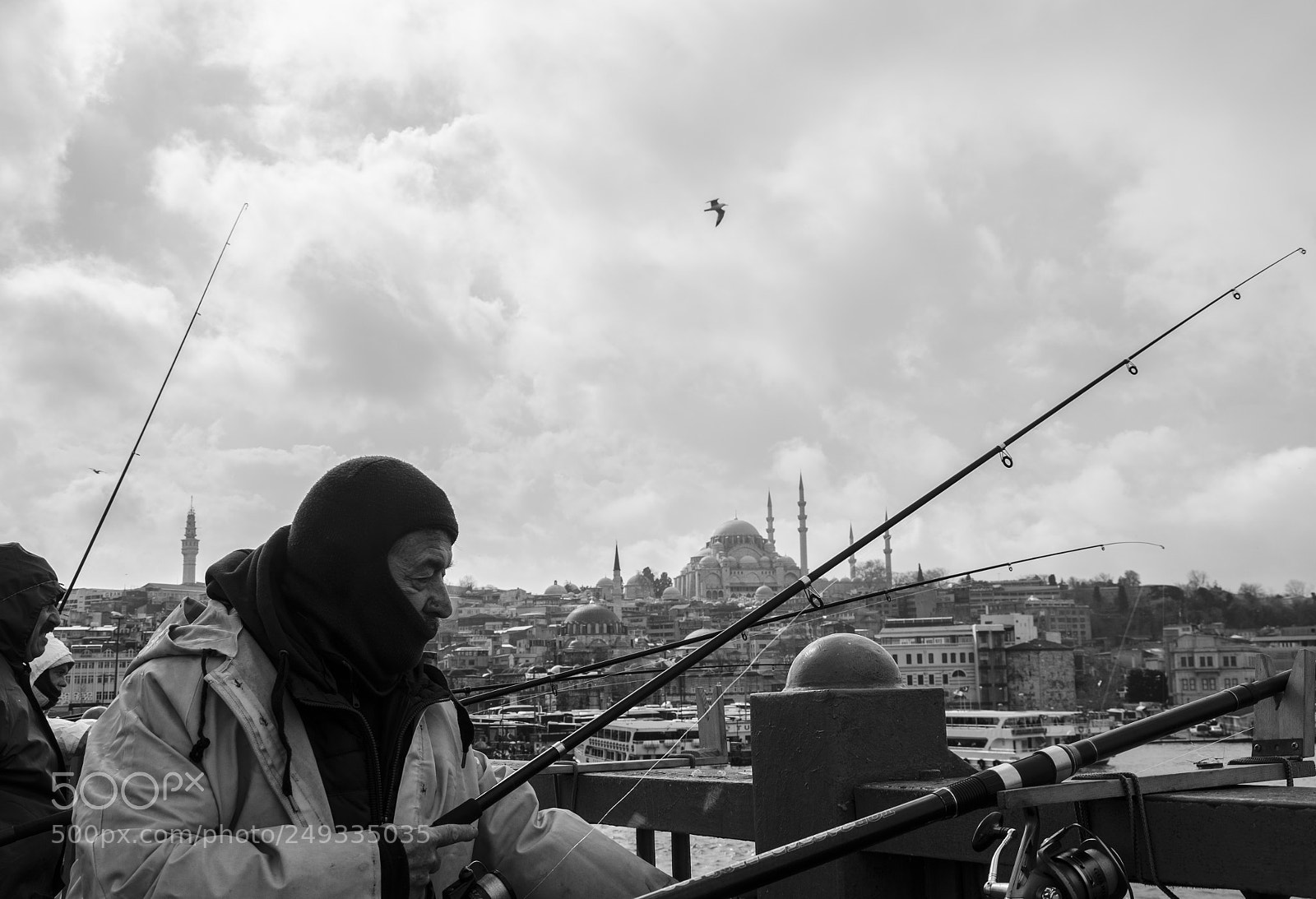 Nikon D7000 sample photo. Untitled photography