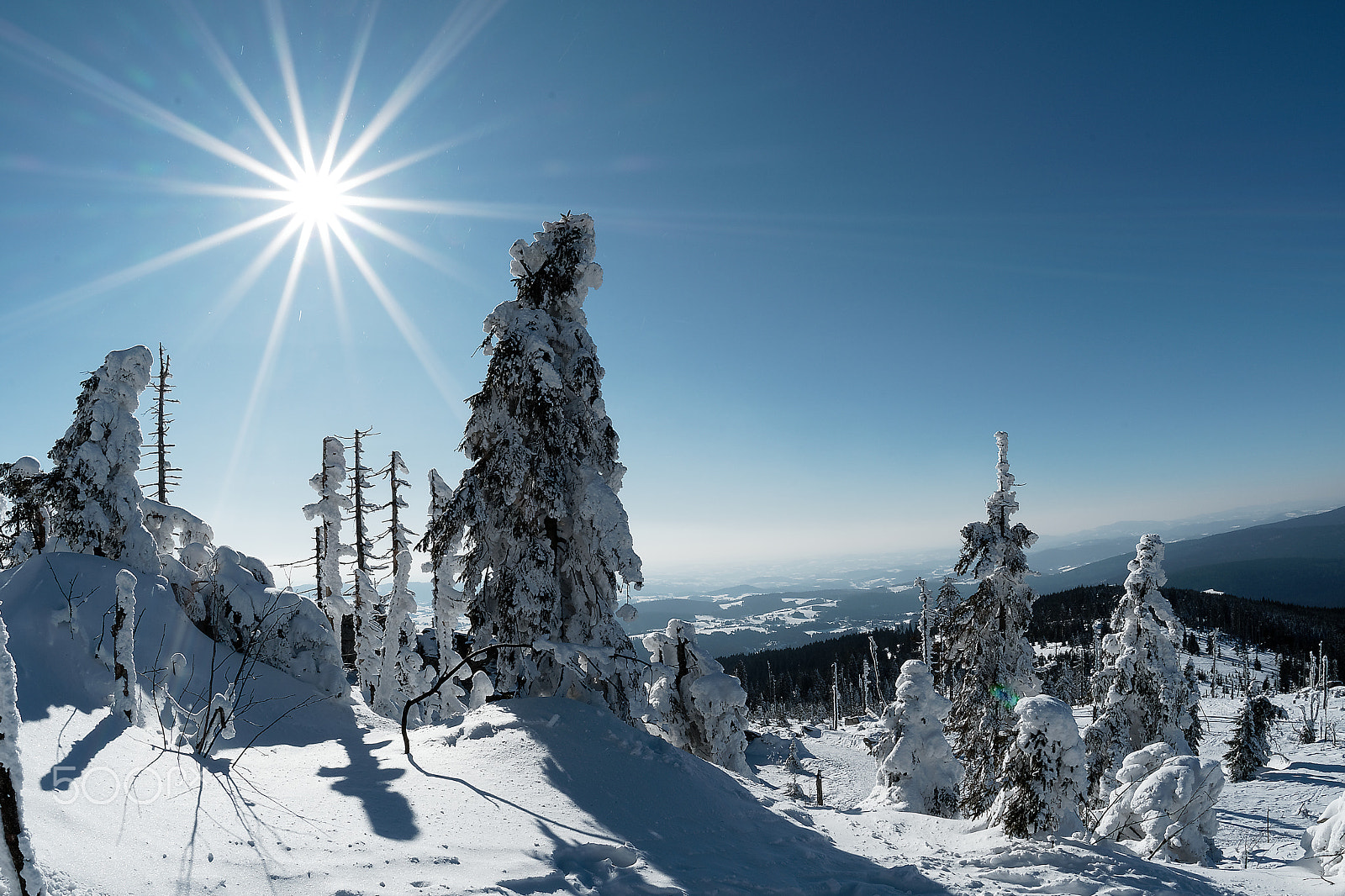 Nikon D7500 + Sigma 15mm F2.8 EX DG Diagonal Fisheye sample photo. Šumava photography