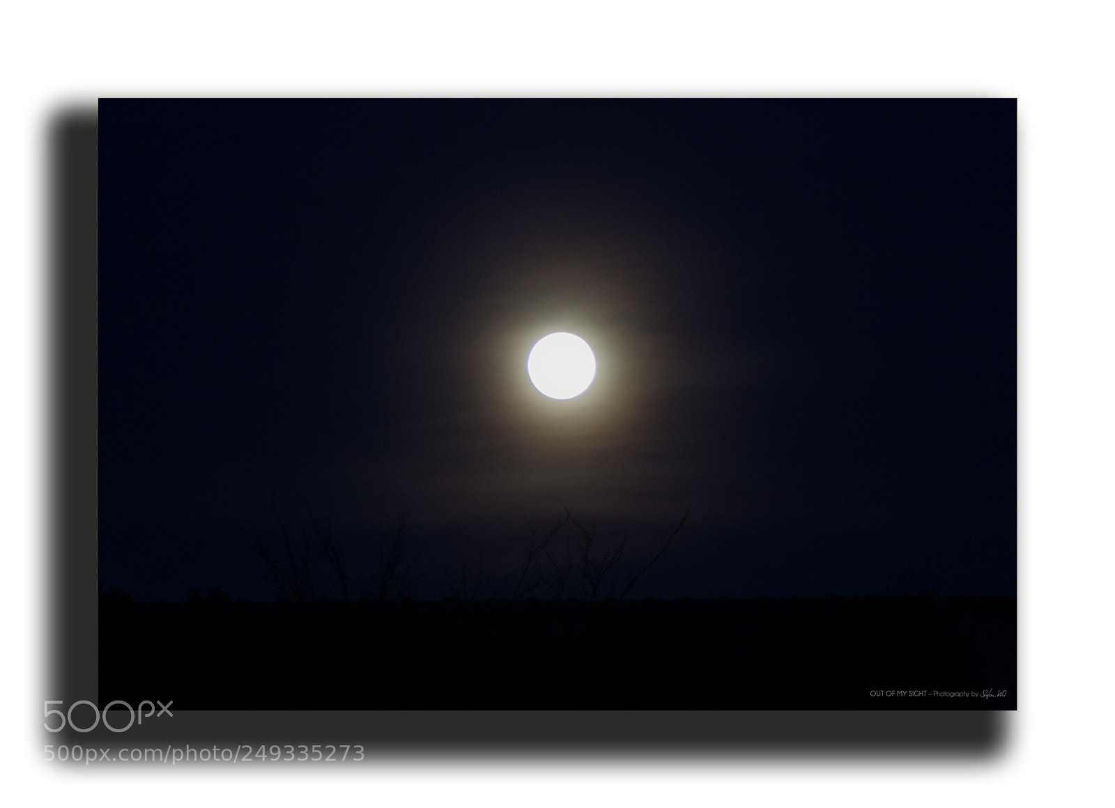 Canon EOS 600D (Rebel EOS T3i / EOS Kiss X5) sample photo. - blue night - photography