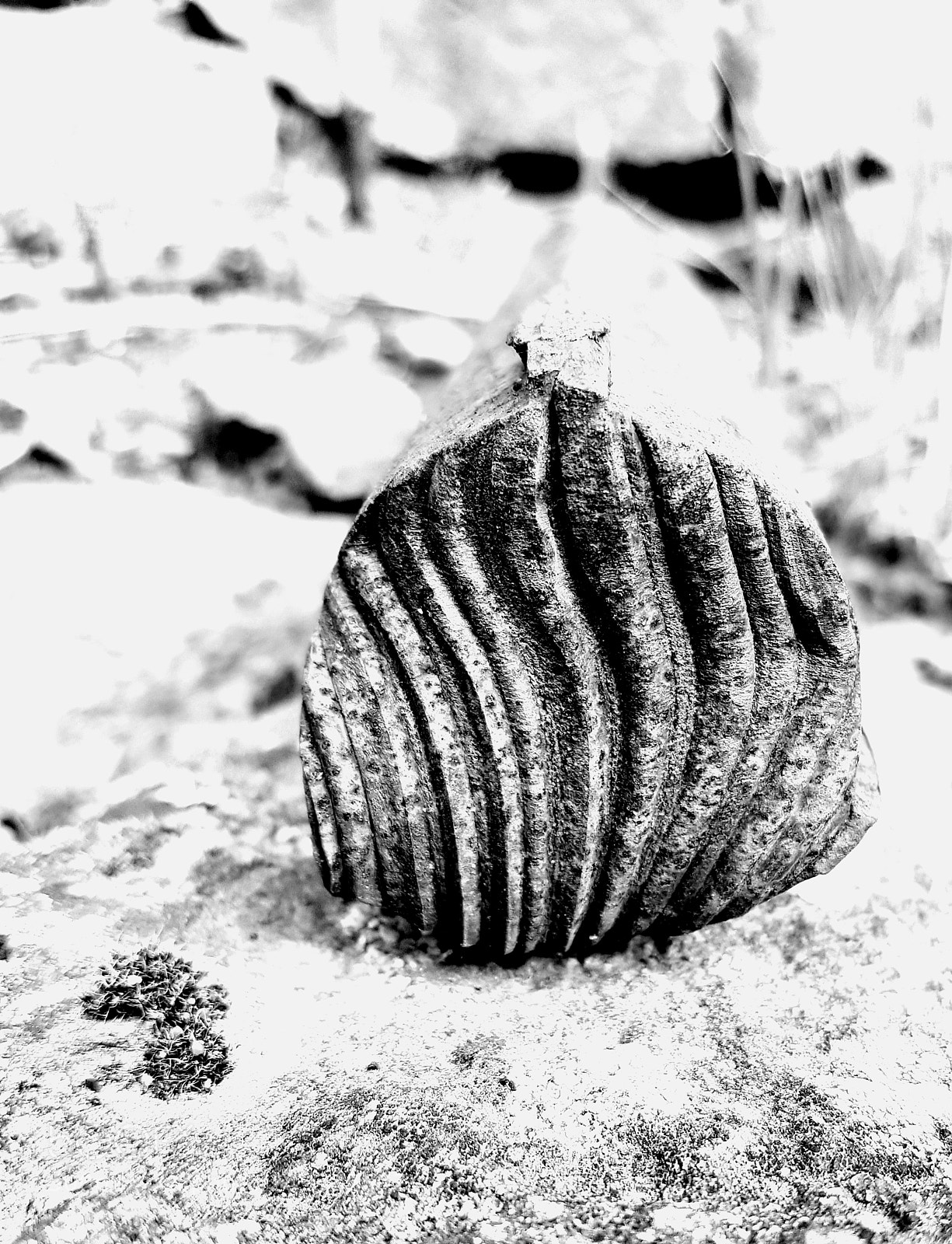 Samsung Galaxy S7 sample photo. Stahl im garten photography