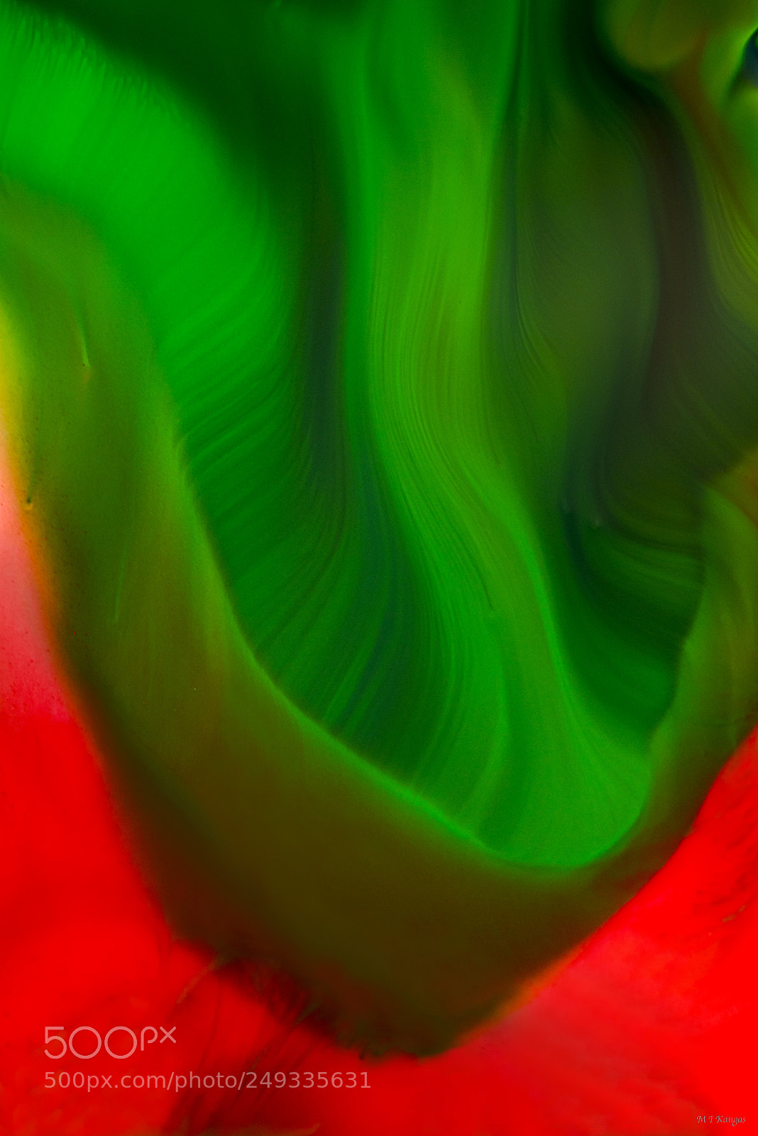 Nikon D610 sample photo. Greenwave photography